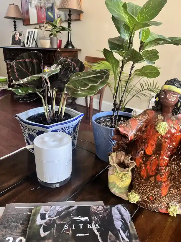 A white humidifier sits on a dark wooden table next to two potted plants and a colorful ceramic statue. The plant on the…