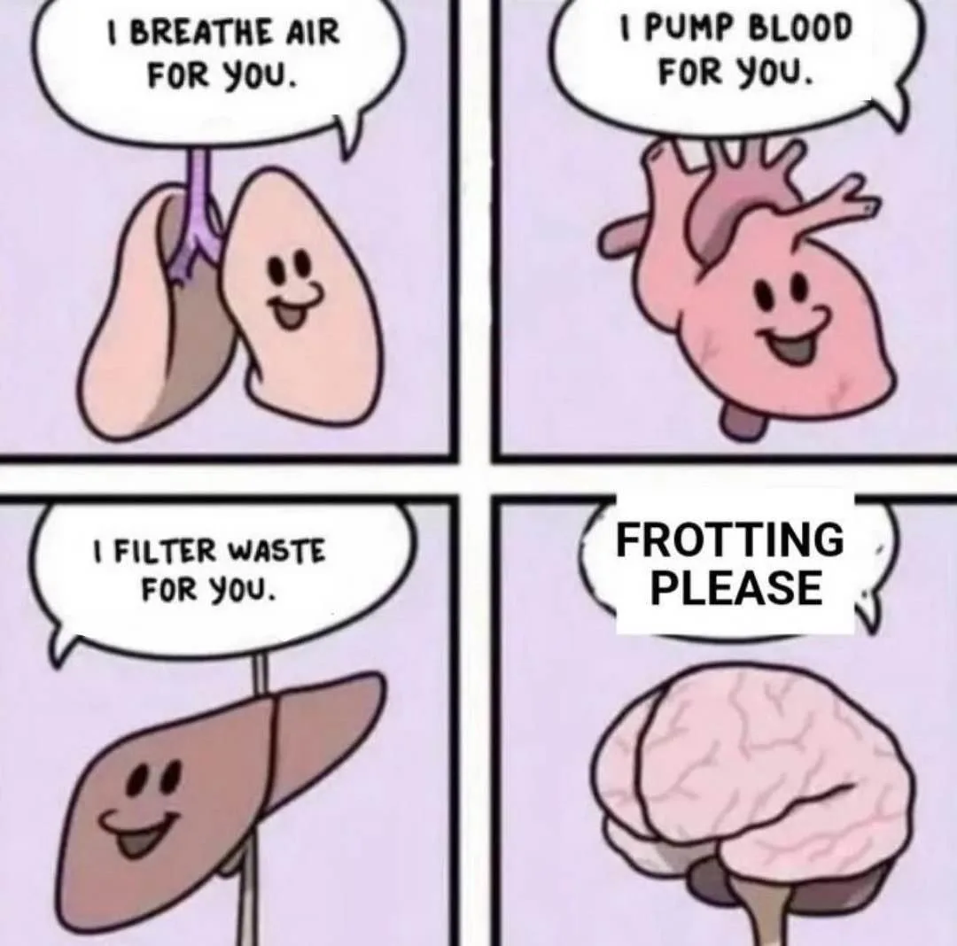A four-panel cartoon depicts cartoon lungs, heart, and liver each cheerfully stating their vital bodily functions: 'I…