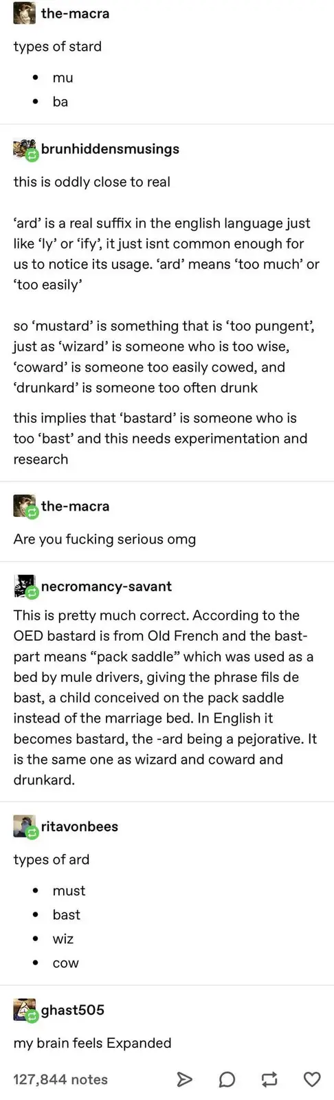 A screenshot of a social media thread where users discuss the linguistic suffix '-ard', starting with a joke about 'types of…