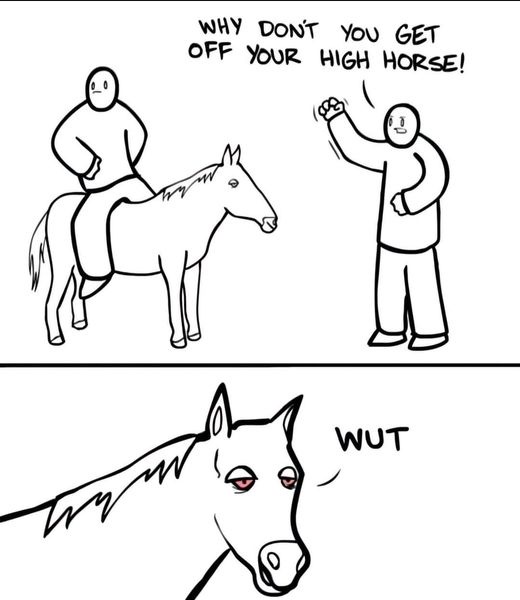 A two-panel black-and-white comic. Top panel: A person riding a horse while another person gestures angrily and shouts, 'WHY…