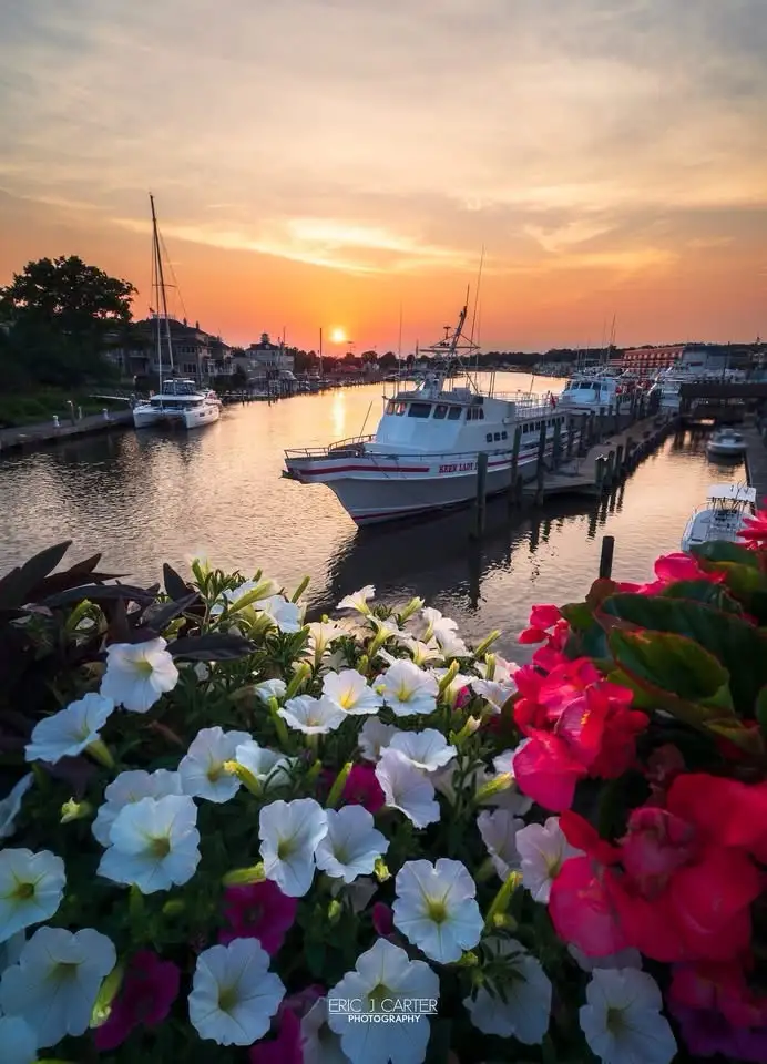Greetings from Lewes, DE!