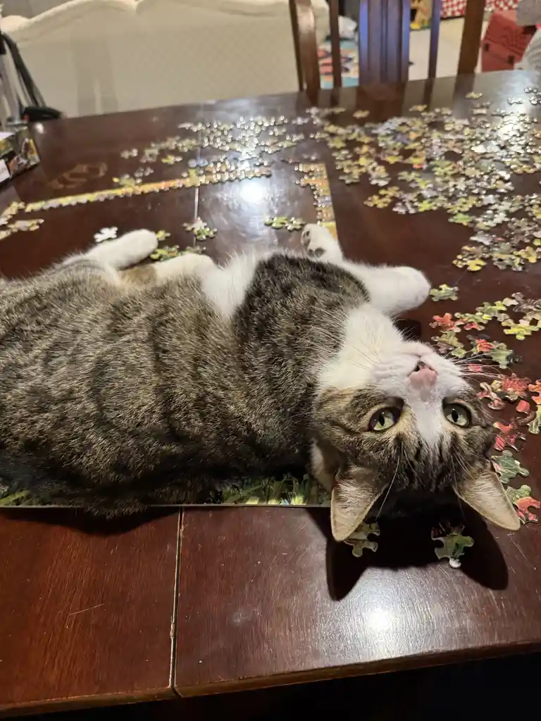 Lending a helping hand