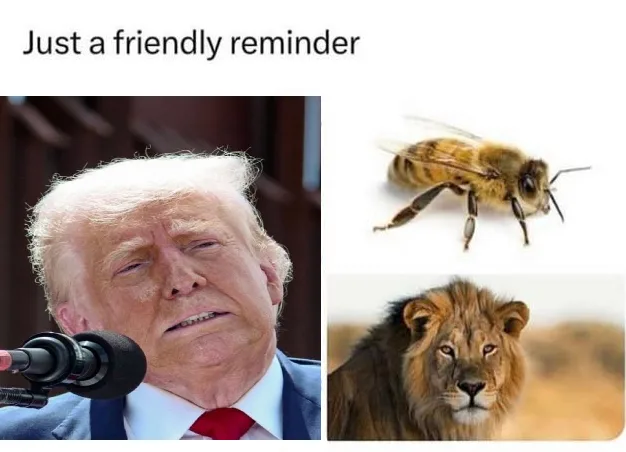 The image displays three separate pictures: Donald Trump looking weary and speaking into a microphone, a close-up of a…