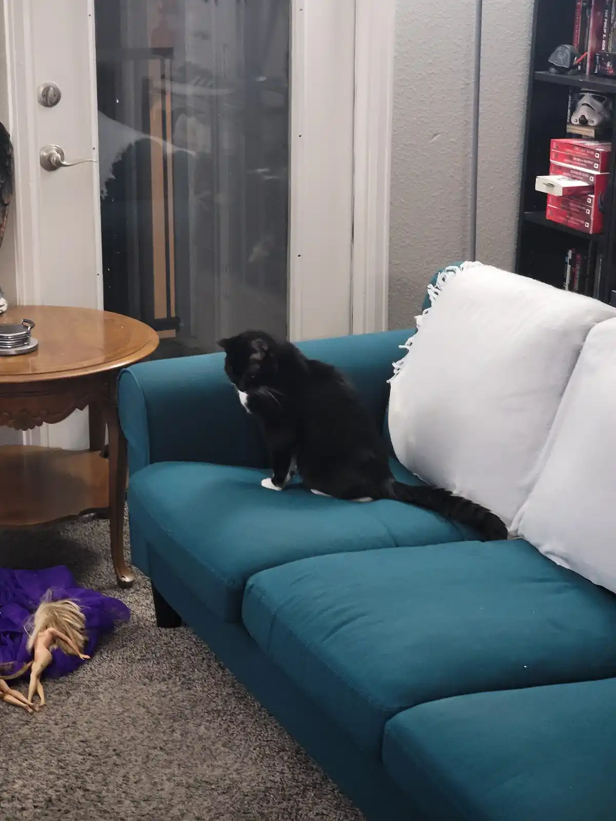 A black and white cat sits on a teal couch, looking down at a doll lying on the carpet nearby. The image has overlaid text…