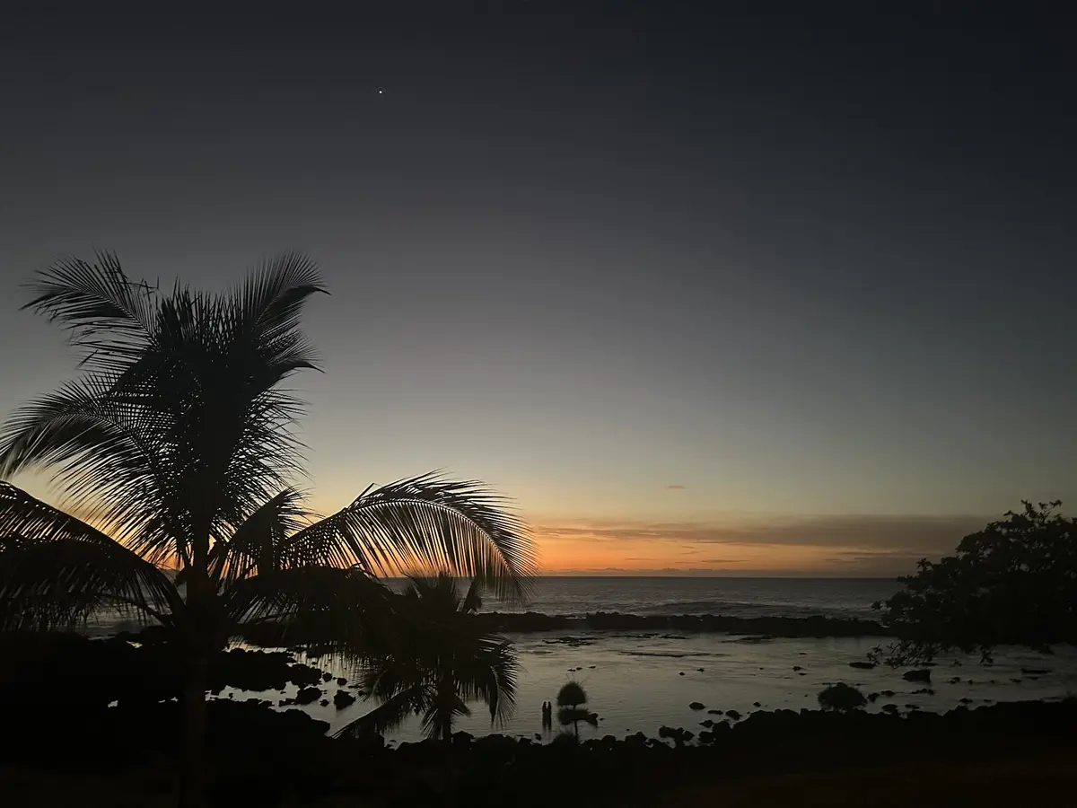A serene tropical sunset scene with silhouetted palm trees against a gradient sky transitioning from orange near the horizon…