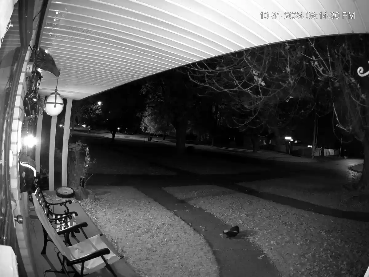 The Final Trick or Treater of the Night