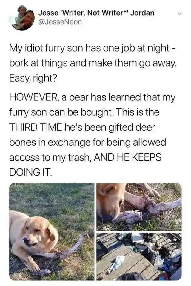 A social media post by Jesse Jordan shows a light-colored dog lying on grass with a deer bone, then sniffing another bone…
