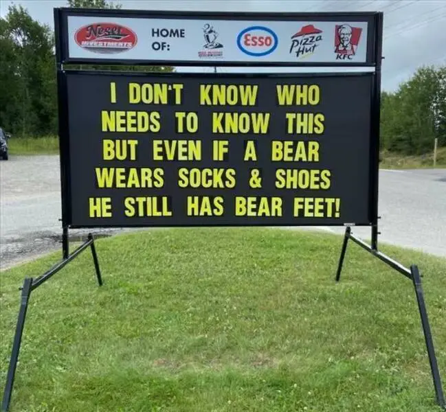 A large black outdoor sign with bright yellow text reads: 'I DON'T KNOW WHO NEEDS TO KNOW THIS BUT EVEN IF A BEAR WEARS…