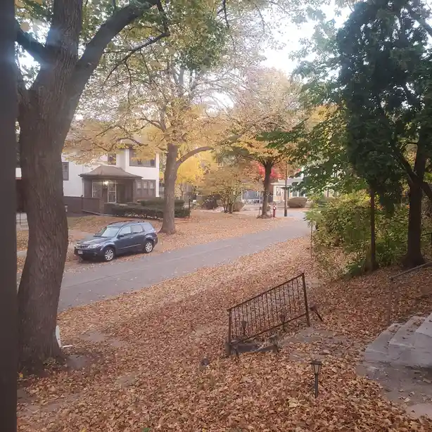 A residential street in autumn is covered in fallen brown leaves, with a blue SUV parked on the road and trees with yellow…