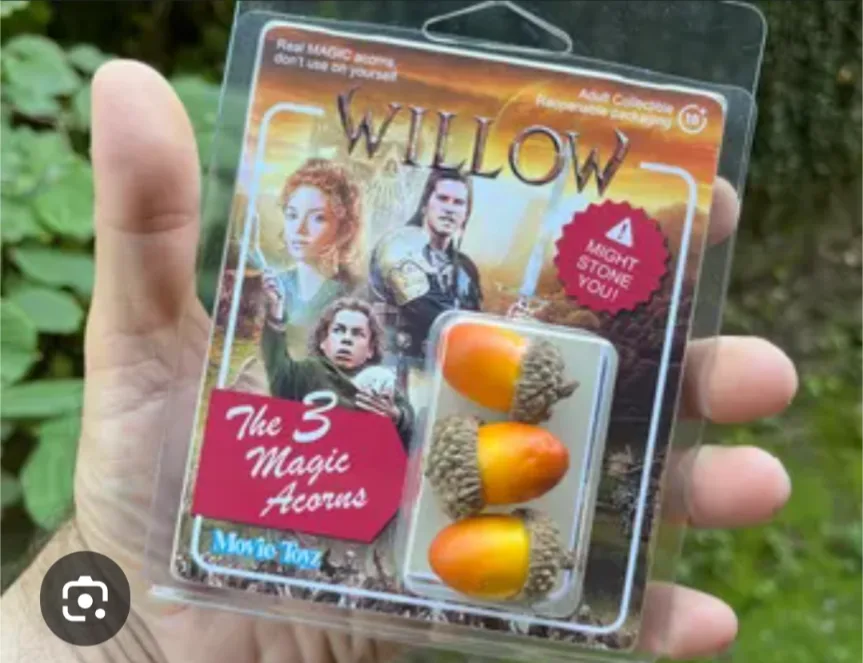 A hand holds a plastic blister pack of 'Willow: The 3 Magic Acorns' collectible toy, featuring three orange-and-brown…