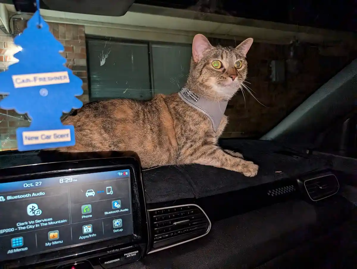 A tabby cat wearing a gray harness is lounging on the dashboard of a car at night, looking alert with glowing eyes. A blue…