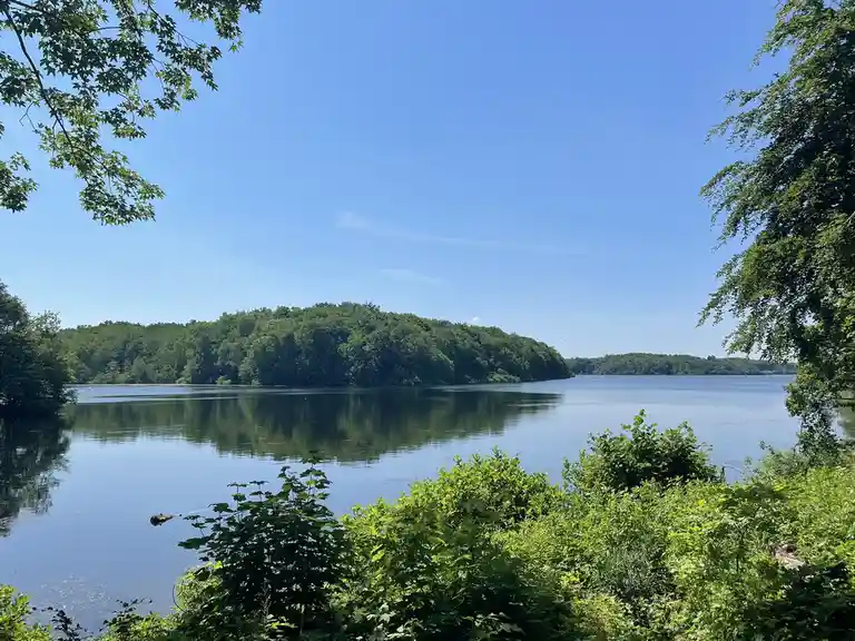 A serene landscape photo of a calm lake surrounded by lush green trees under a clear blue sky, with the overlaid text 'i'm…