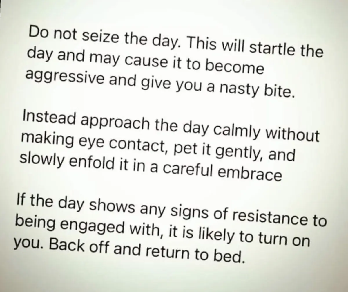 The image displays black text on a plain white background, presenting a humorous, anthropomorphized guide to handling the…