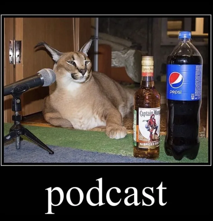 A caracal cat sits calmly beside a microphone on a tripod, with a bottle of Captain Morgan spiced rum and a large Pepsi…