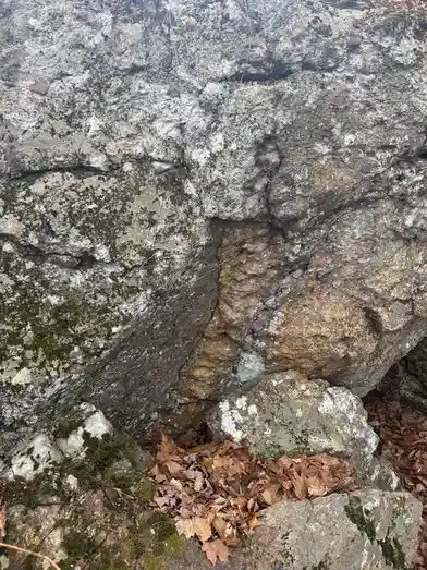 A close-up photo of a natural rock formation with moss, lichen, and fallen brown leaves at its base. The overlaid text reads…