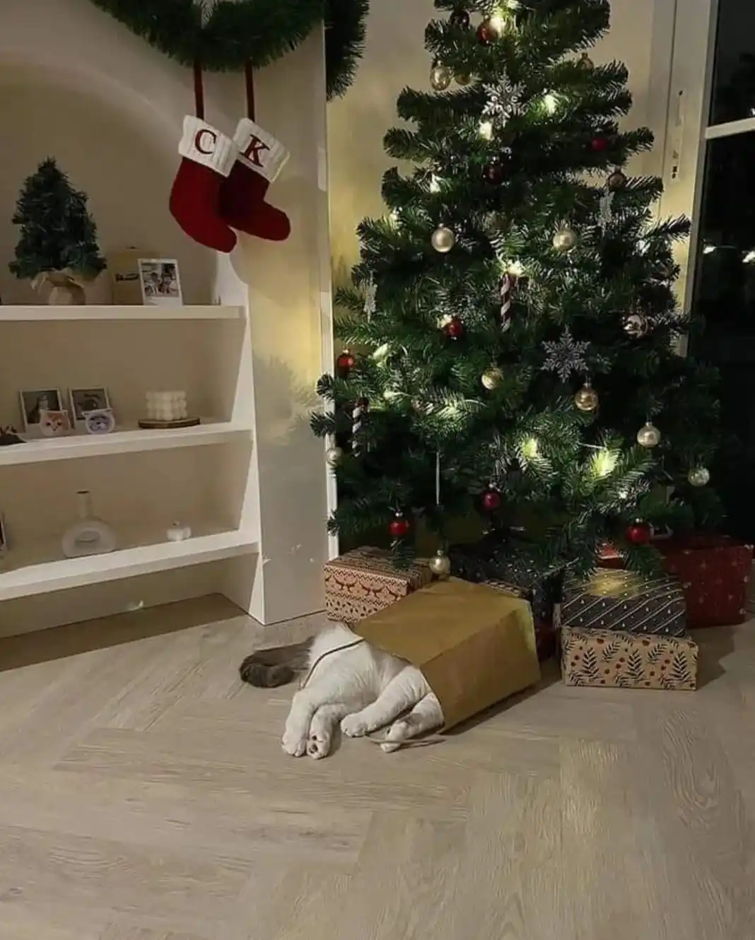 A white cat is curled up and sleeping inside a brown paper gift bag placed on a light wood floor beneath a decorated…