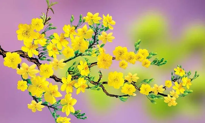A vibrant image of a flowering tree branch with bright yellow blossoms and green buds against a soft purple and green…