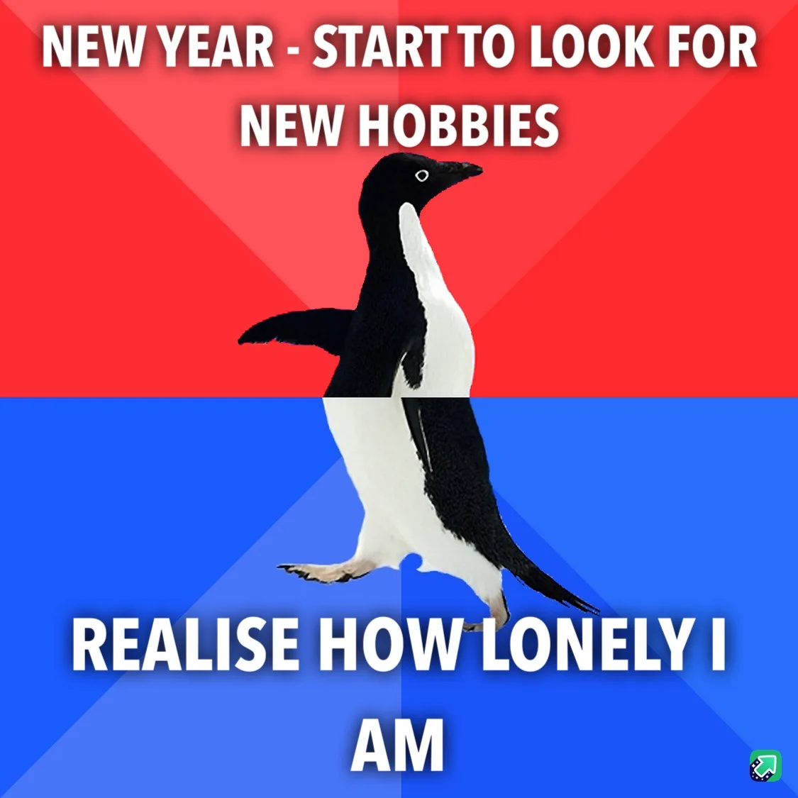 A penguin stands centered against a red and blue background split diagonally. White bold text at the top reads 'NEW YEAR…