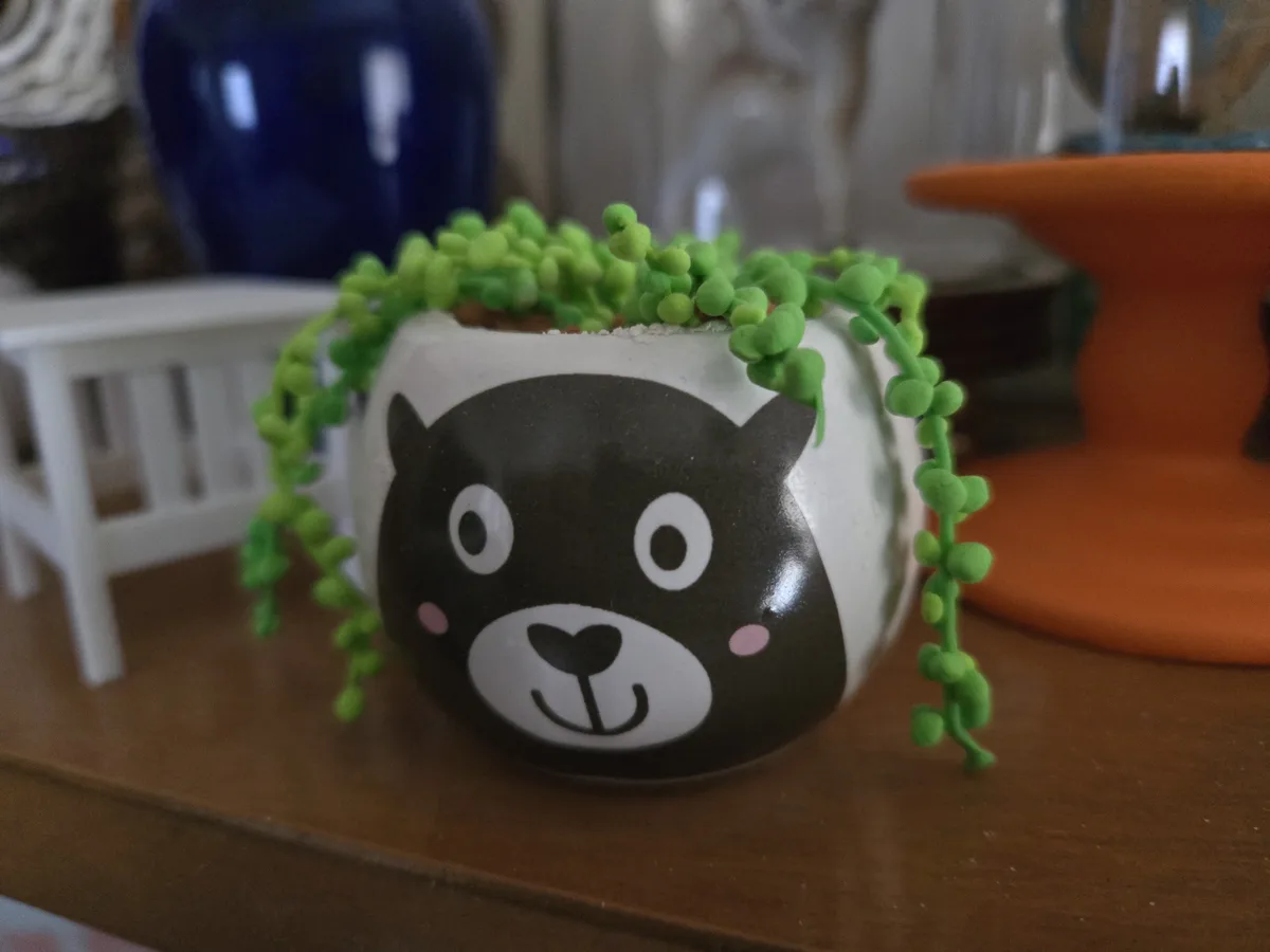 A white ceramic pot decorated with a cartoon bear face sits on a wooden shelf, overflowing with bright green…