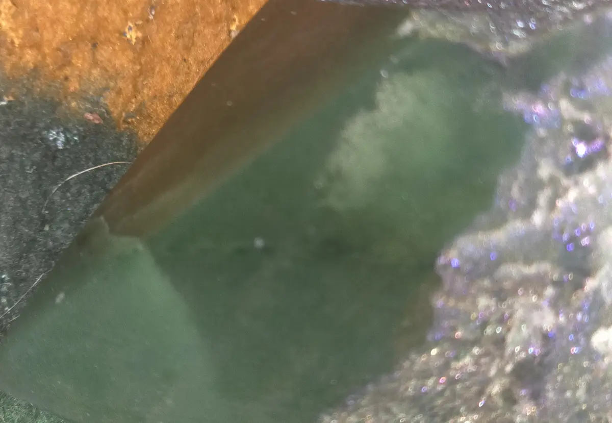A blurry, low-resolution photo shows a close-up of a dark, possibly metallic object partially submerged in murky green…