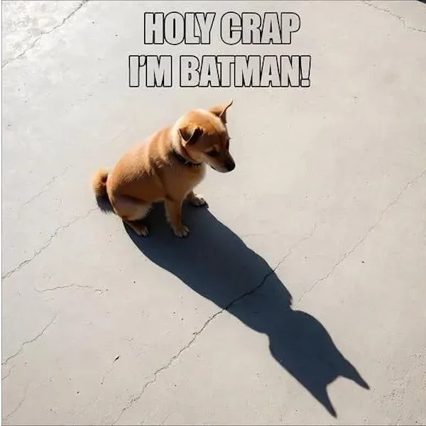 A small tan dog sits on cracked concrete, looking away, while its shadow cast by the sun forms the unmistakable silhouette…
