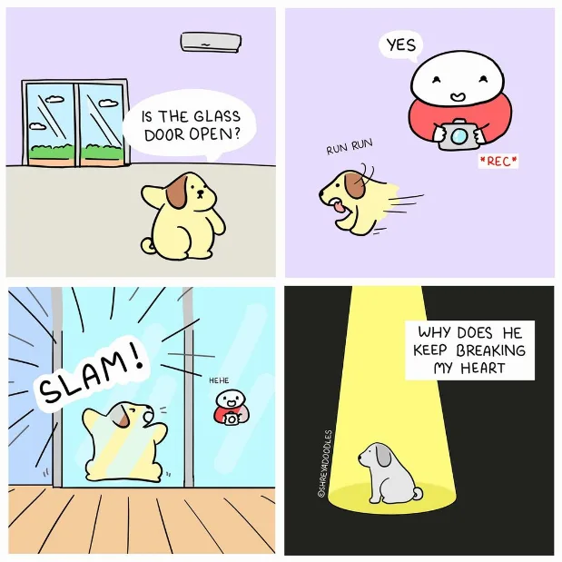 A four-panel comic shows a dog asking if a glass door is open, then running toward it while being filmed by a smiling person…