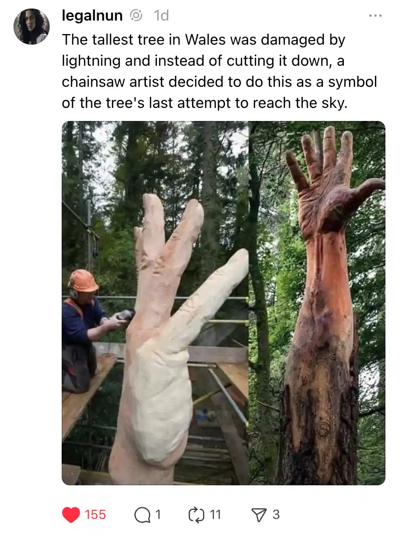The image shows a split view: on the left, a chainsaw artist wearing an orange helmet works on a large tree trunk being…