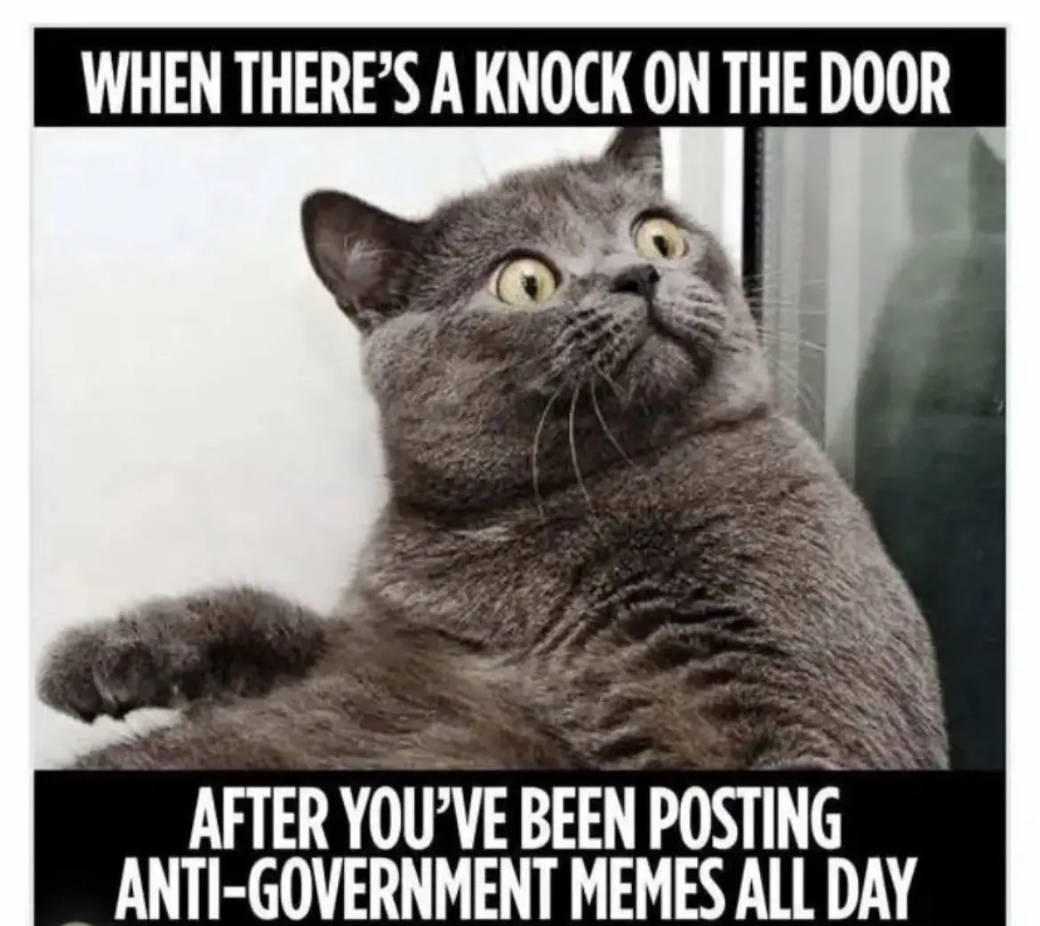 I can't answer the door right Meow!!
