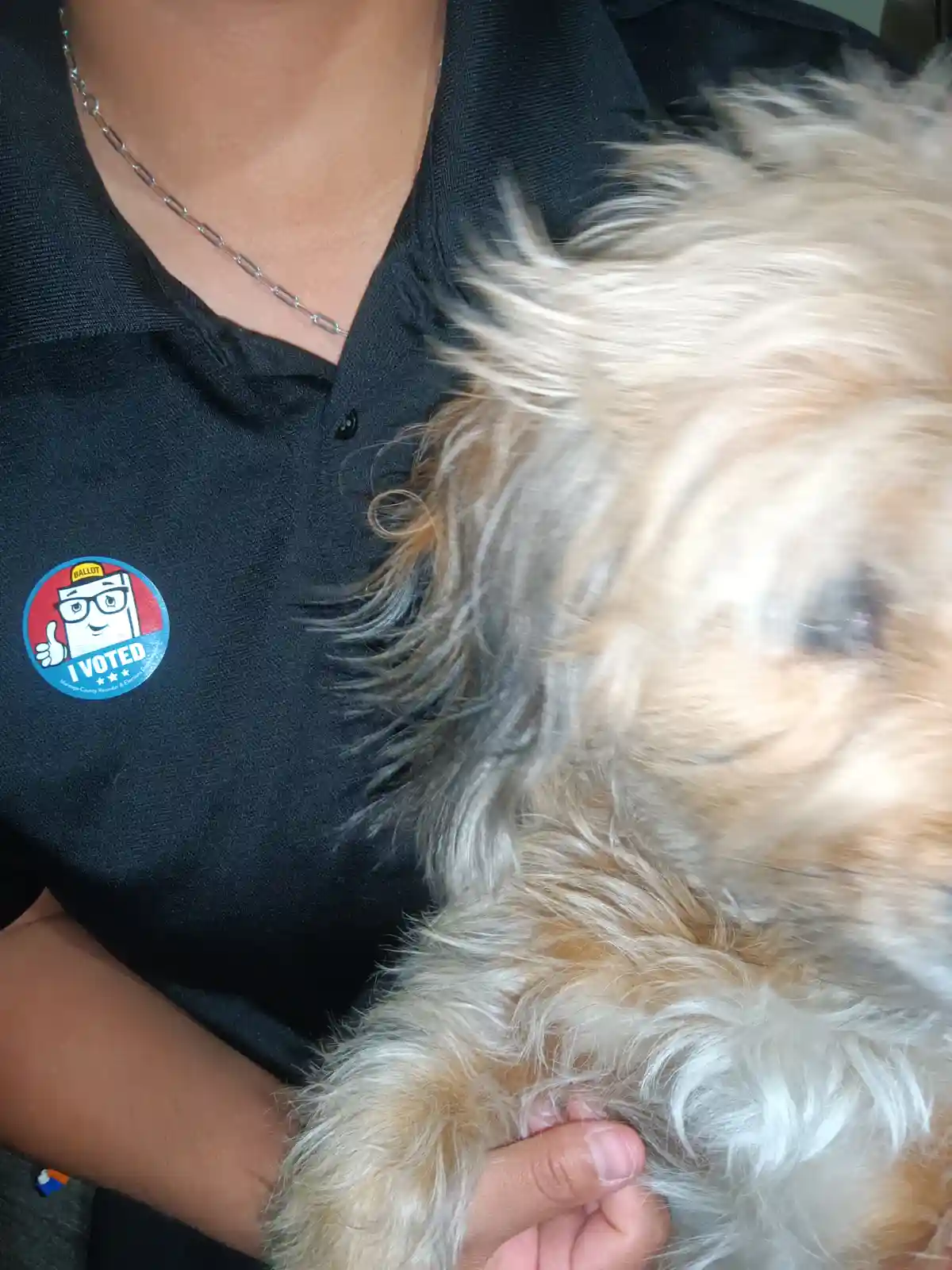 My Child Cast Their Vote!