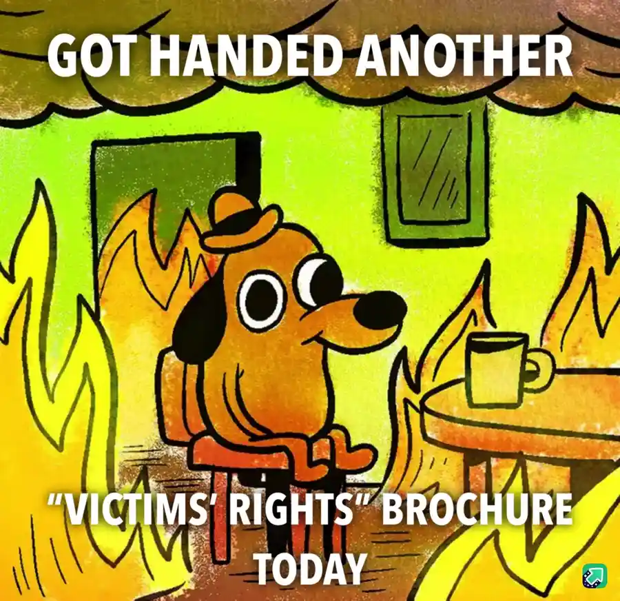 A cartoon dog wearing a hat sits calmly in a room engulfed in flames, with a mug on a table beside it. The text overlaid on…