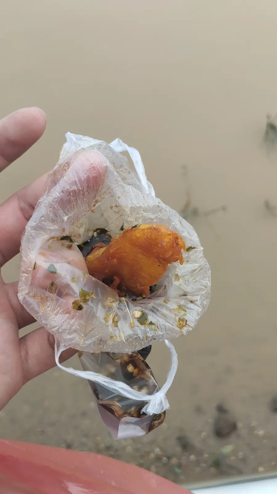 A hand holds a clear plastic bag containing a single fried chicken wing, partially submerged in a dark sauce with visible…