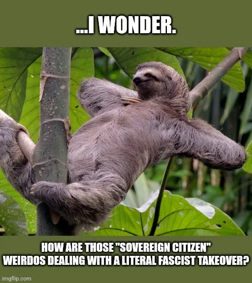 A sloth is shown hanging lazily from a tree branch in a jungle setting, looking contemplative. The image has two text…
