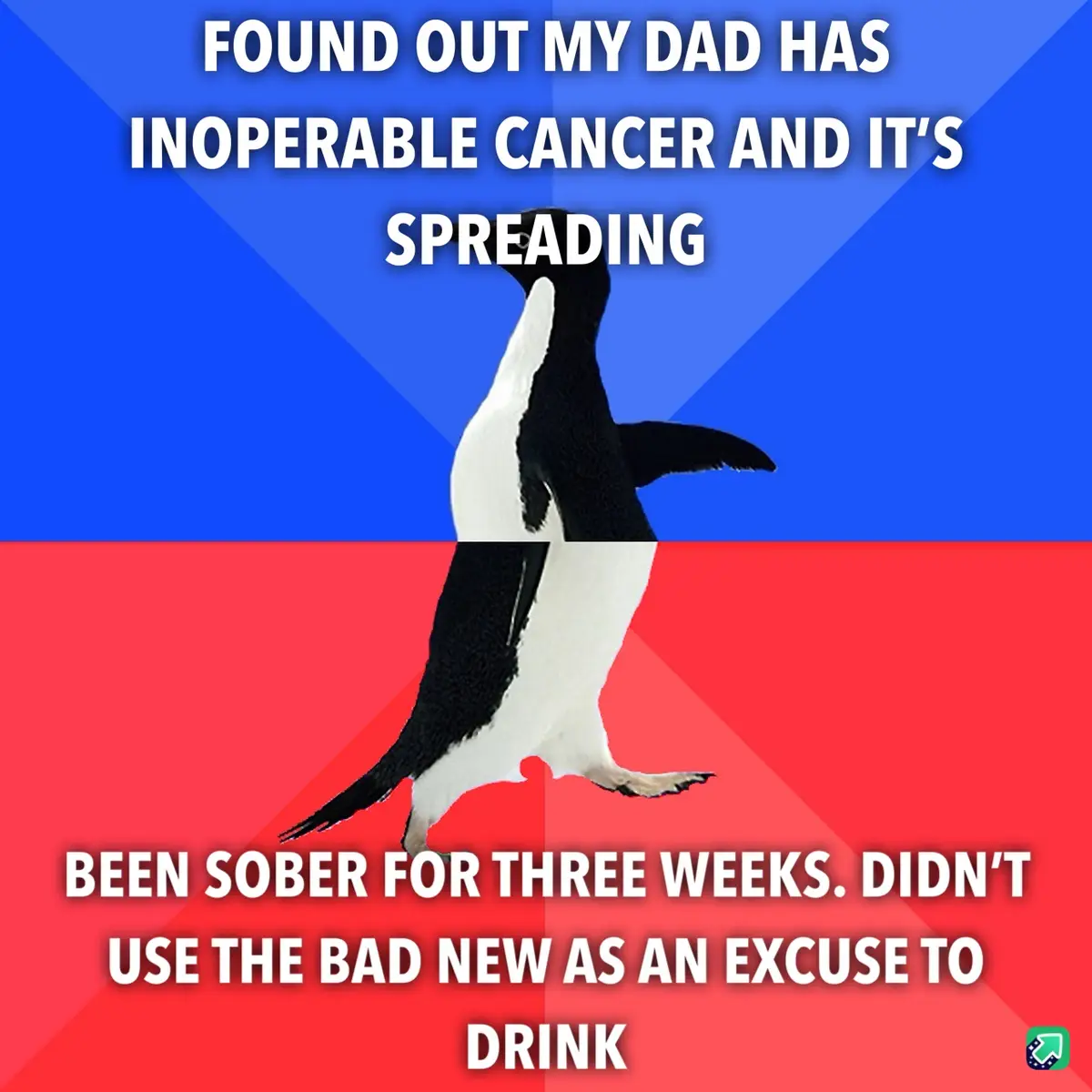 A penguin stands centered against a blue and red background, with white text overlaid in two sections. The top text reads…