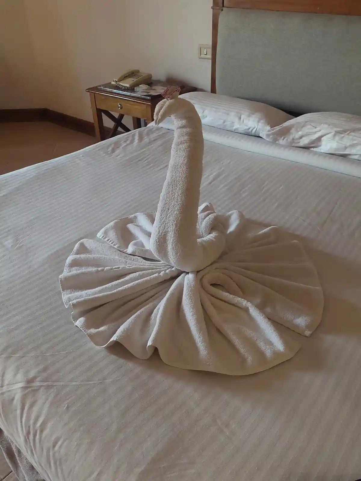 A white towel is artfully folded into the shape of a swan, complete with a long neck and a small decorative bow on its head…