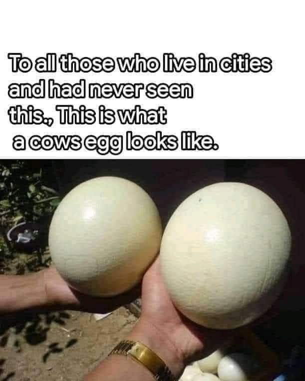 Two large, pale, spherical objects resembling giant eggs are held in hands against an outdoor background. The overlaid text…
