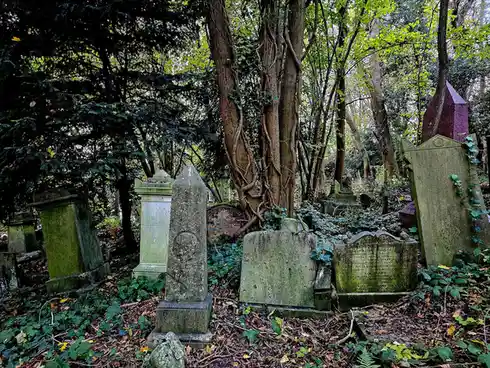 A photo of an overgrown, moss-covered cemetery with numerous weathered tombstones partially obscured by trees and ivy. The…