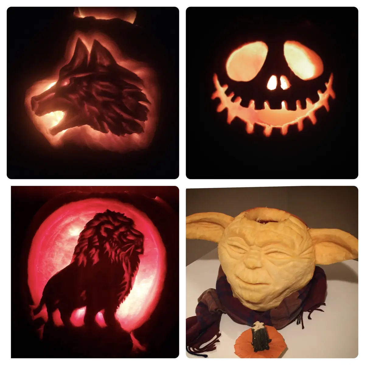 Four images show intricately carved pumpkins: a glowing wolf, Jack Skellington's face, a lion silhouette against a red…