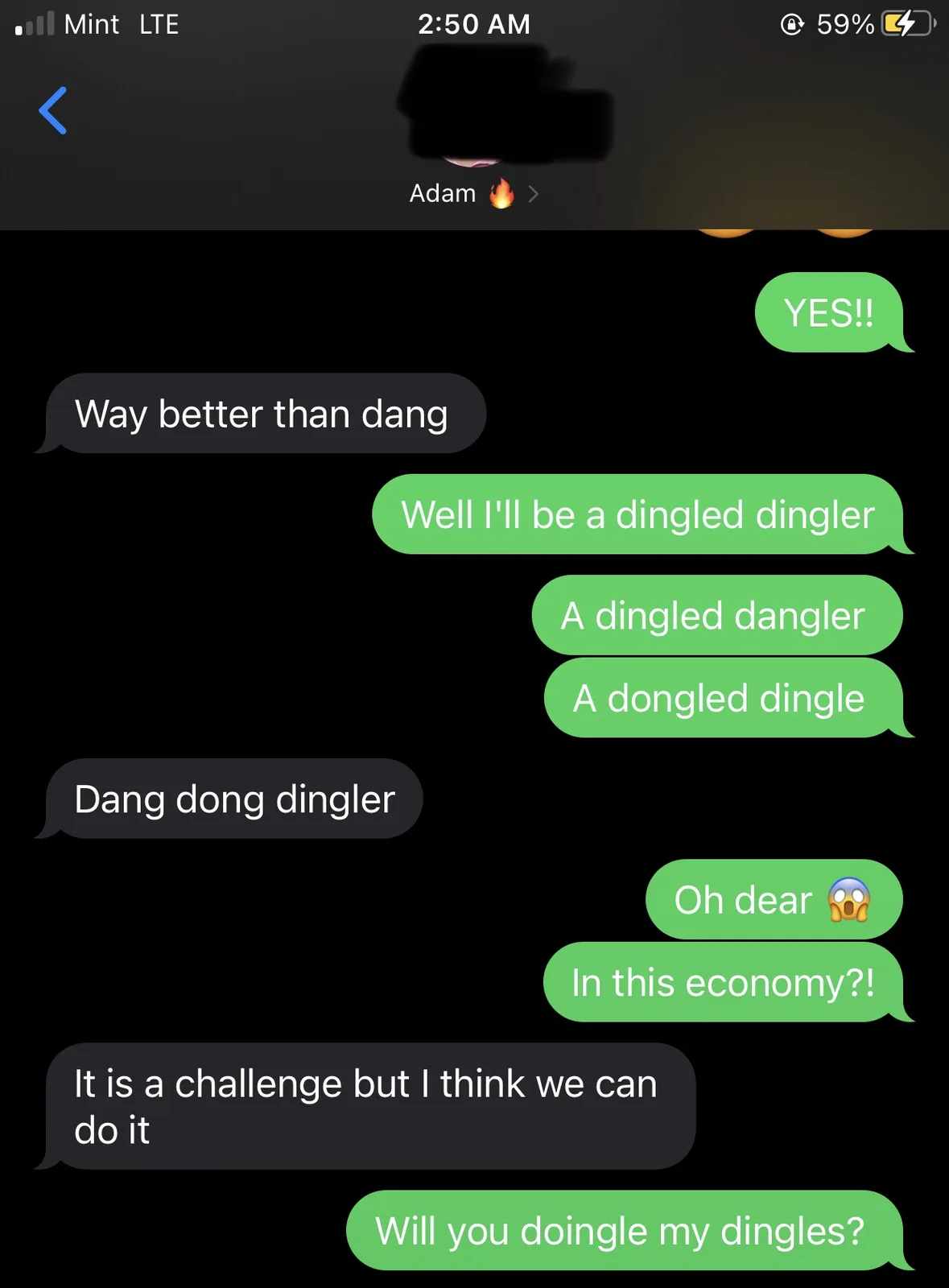 A screenshot of a text conversation between two people, one named Adam, where the green-text sender playfully creates absurd…