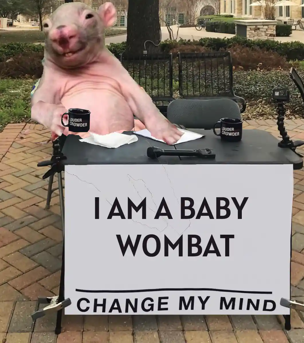 A digitally altered image shows a baby wombat sitting at an outdoor table with a microphone, two mugs labeled 'LOUDER…