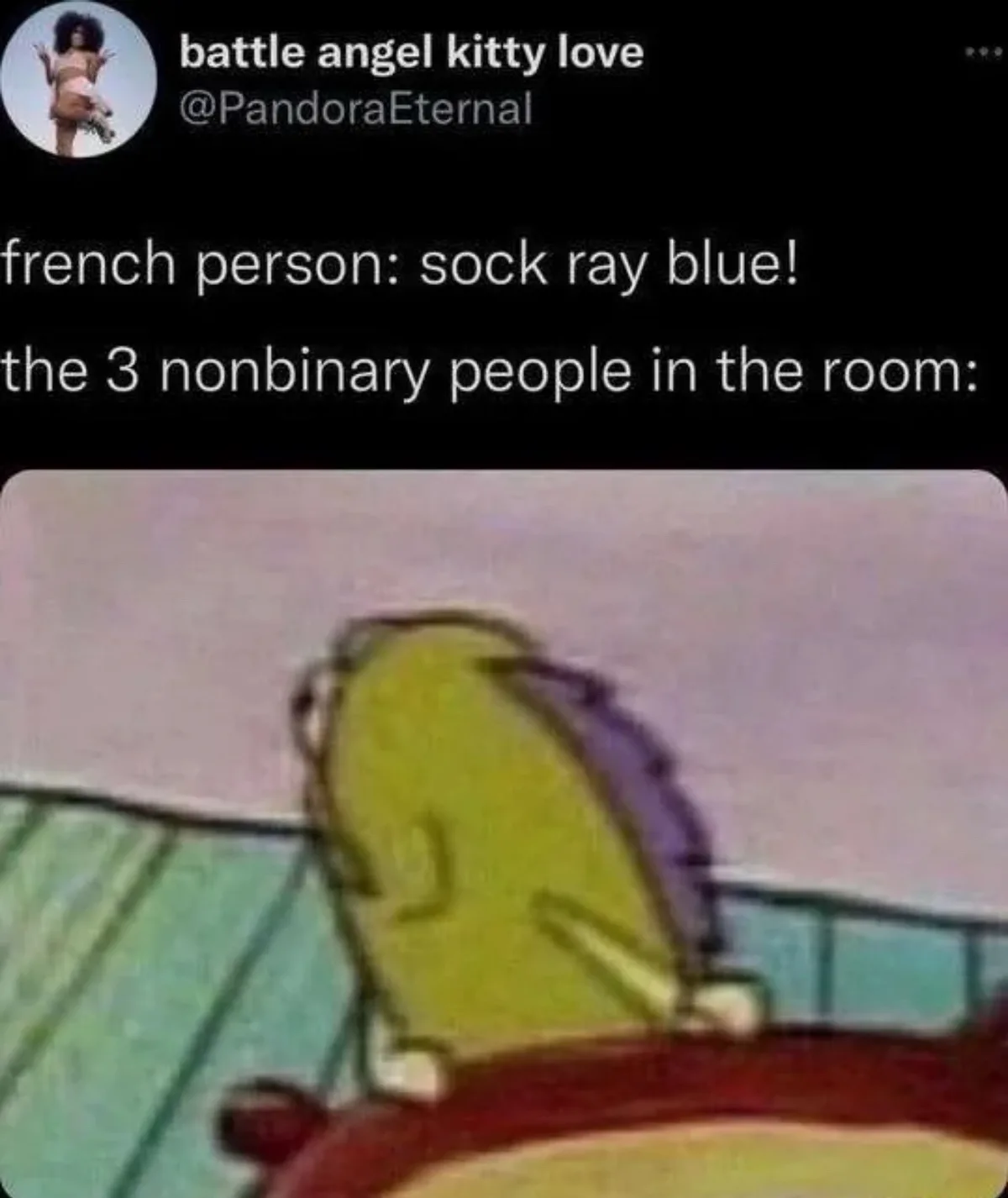 The image shows a screenshot of a tweet from 'battle angel kitty love' with the text 'french person: sock ray blue!'…