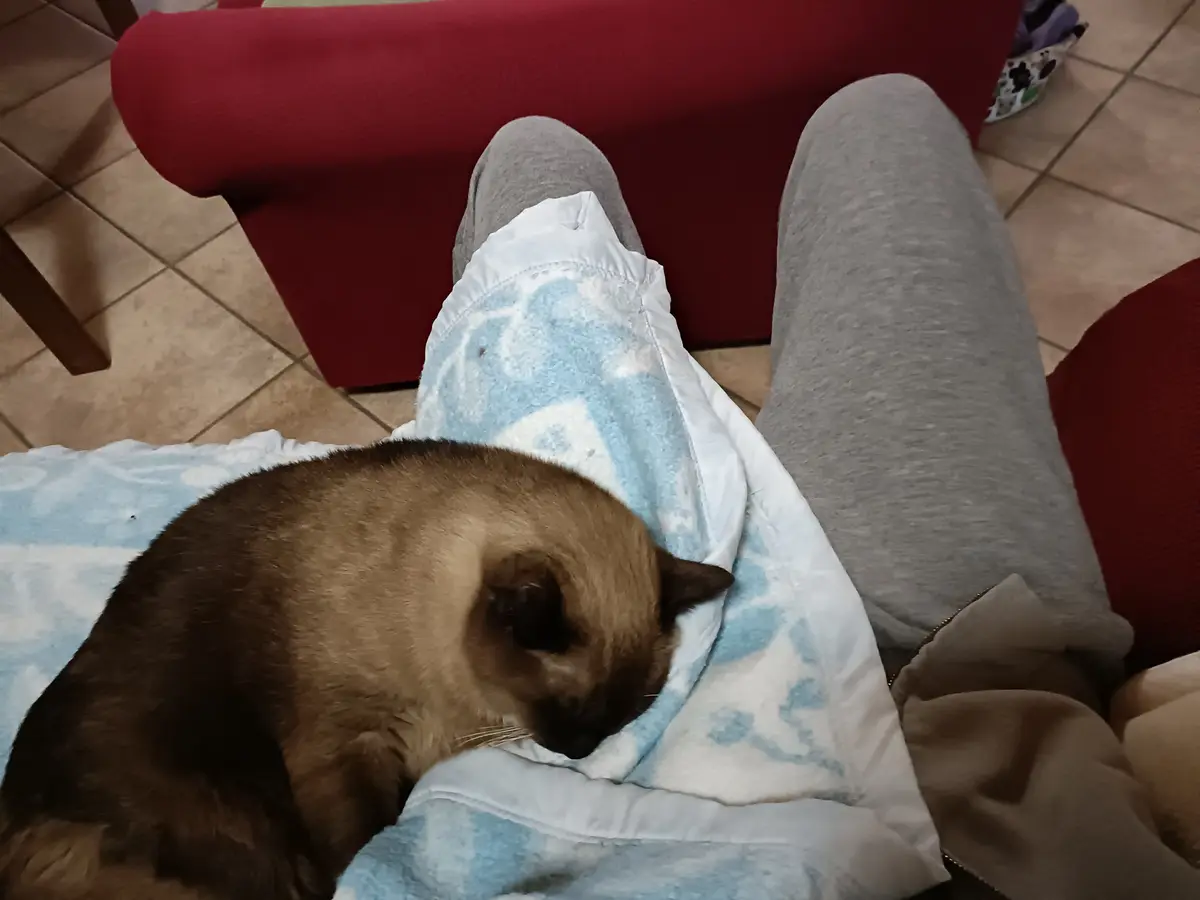 I'm Stuck! Please Send Help ASAP