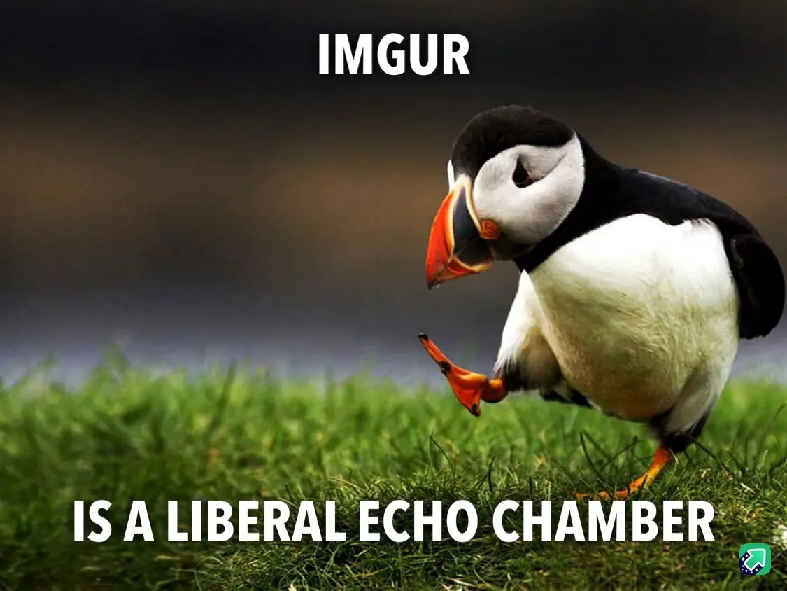 A close-up photo of a puffin standing on green grass, looking down with one foot lifted, overlaid with bold white text…