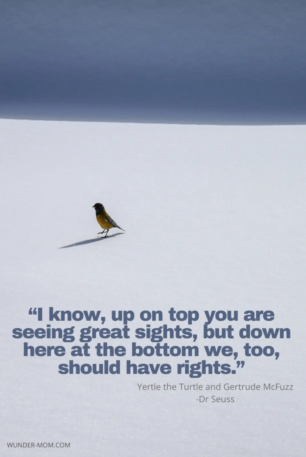 A small yellow and black bird stands alone on a vast, flat expanse of snow under a dark sky. Overlaid text quotes Dr…