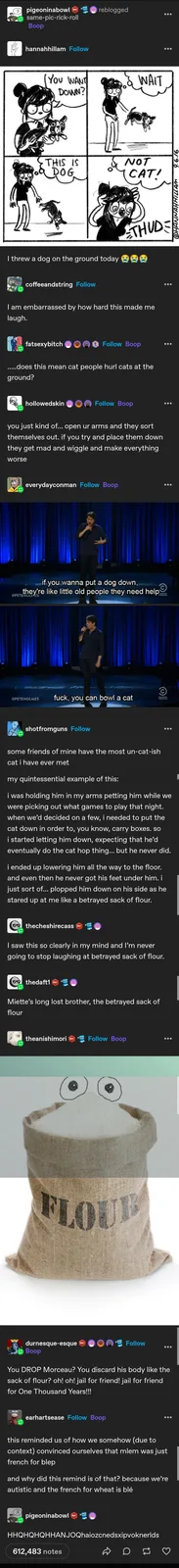 When you let your pets roam free on the ground.