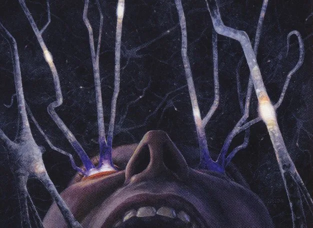 Fevered Visions: A Journey Through the Mind
