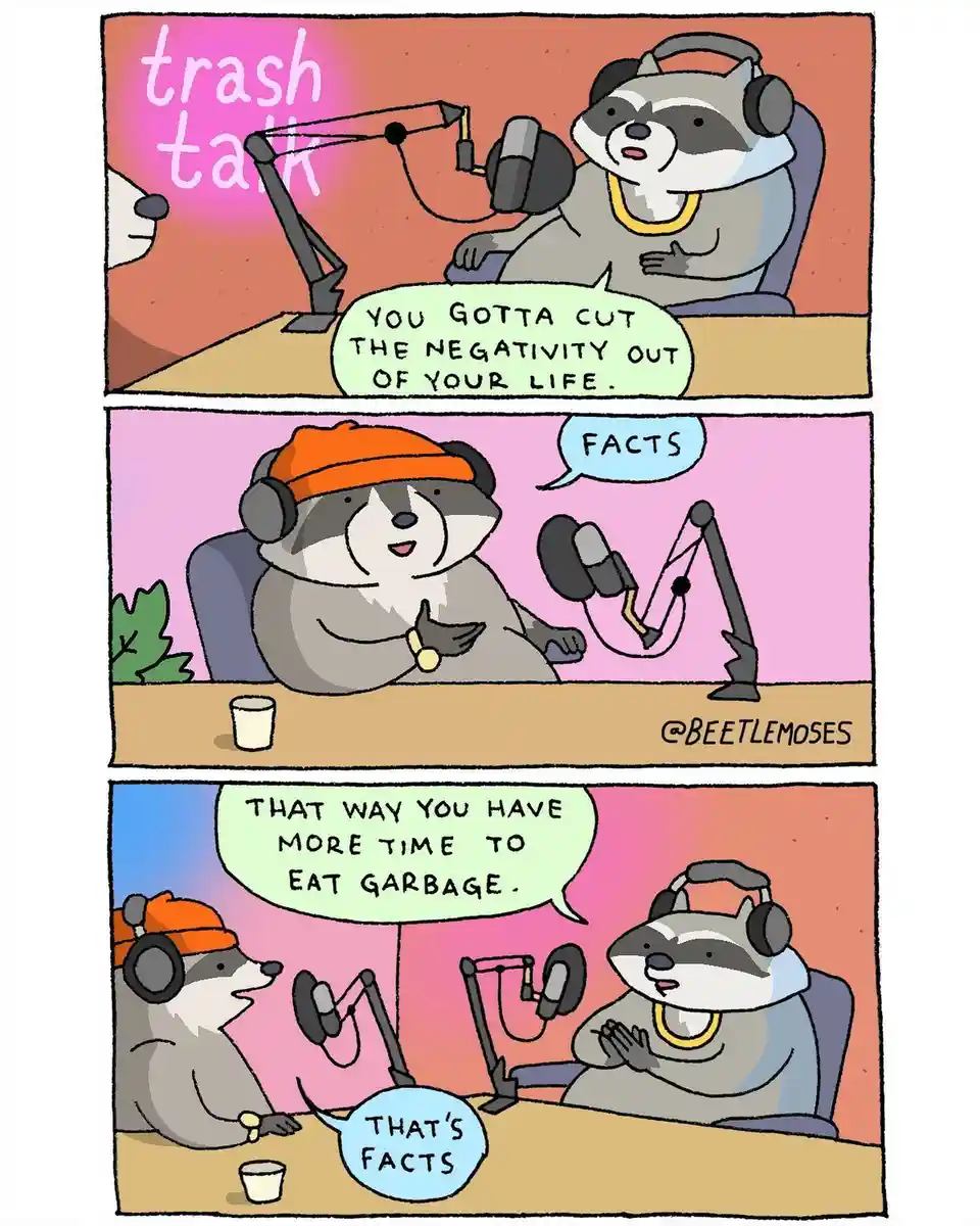 Three-panel comic featuring two raccoons in a podcast setup. The first raccoon advises cutting negativity from life, the…