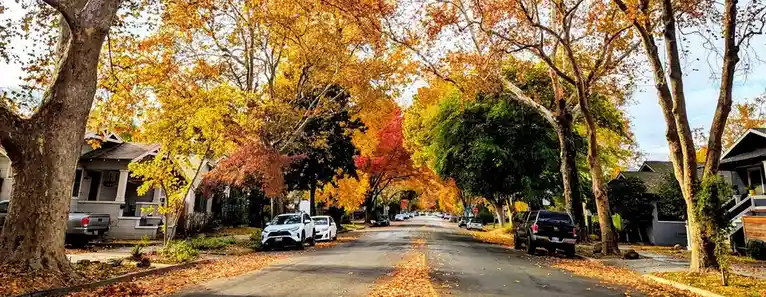 A scenic autumn street lined with trees displaying vibrant yellow, orange, and red foliage, with fallen leaves covering the…
