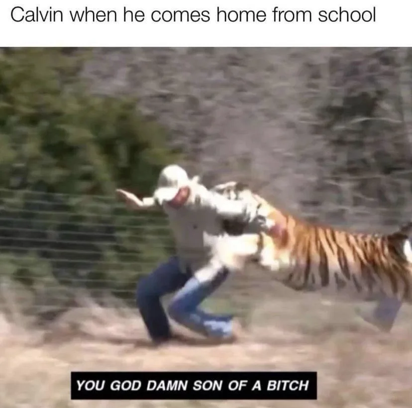 A blurry image shows a man in a white hat and blue jeans being tackled by a large tiger in an outdoor setting with a fence…