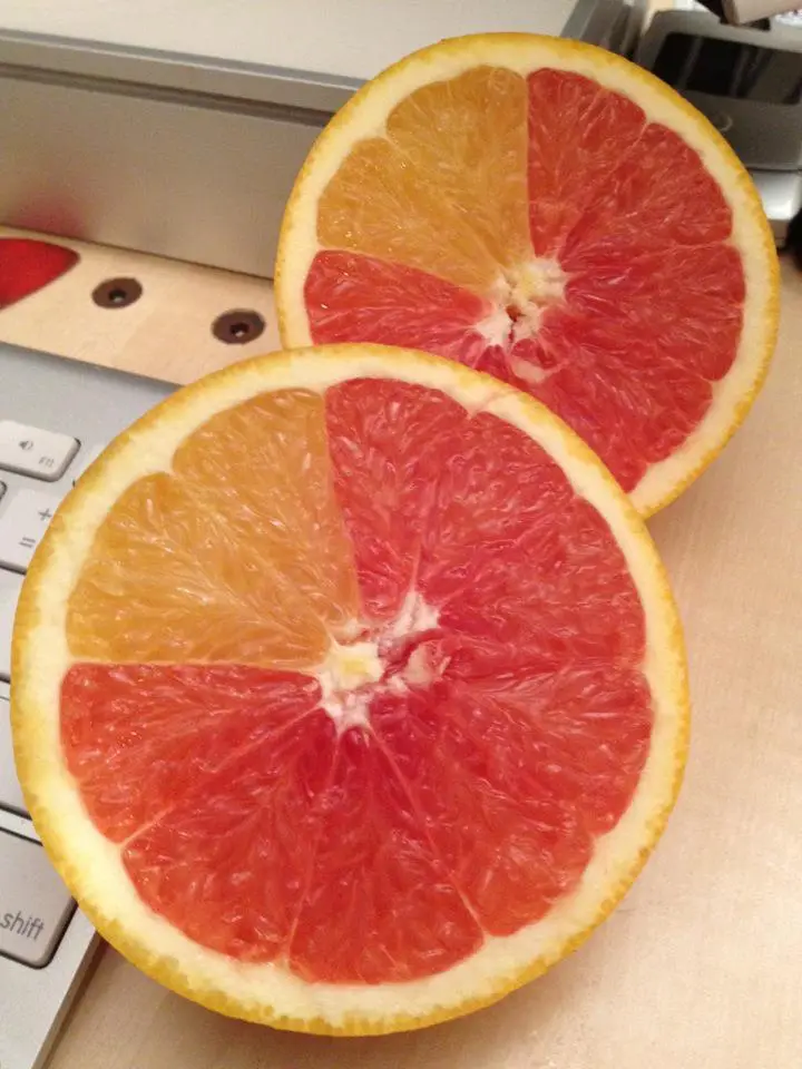 Two halves of a grapefruit are sliced open and placed on a laptop keyboard, revealing one half with orange flesh and the…