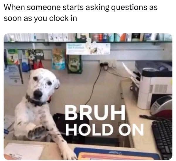 A white dog with black spots sits upright at a desk in an office, looking directly at the camera with a confused or…